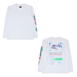 EDWIN spectrum of consciousness ts ls