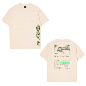 EDWIN spectrum of consciousness ts